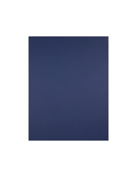 Cartulina liderpapel 50x65 cm 240 g/m2 azul zafiro