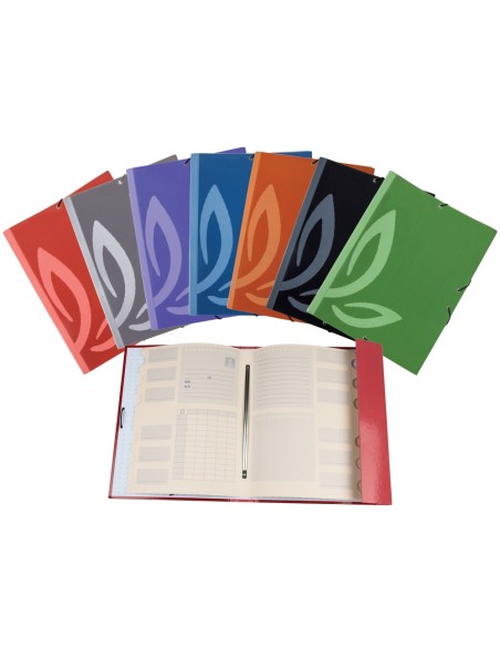 Carpeta liderpapel gomas carton forrado...