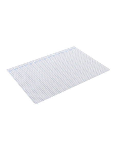 Recambio liderpapel a4 pautaguia 100 hojas 75 g...