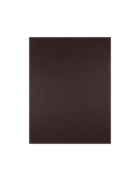 Cartulina liderpapel 50x65 cm marron oscuro 240 gr unidad