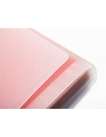 Carpeta liderpapel clasificador fuelle...