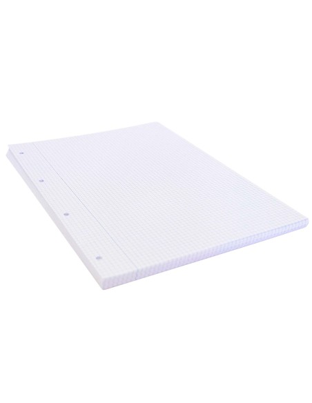 Recambio liderpapel a4 100 hojas 75g/m2 cuadro 4mm con margen 4 taladros
