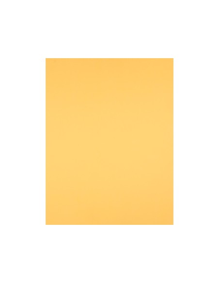 Cartulina liderpapel 50x65 cm oro 240 gr unidad