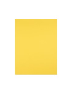 Cartulina liderpapel 50x65... 2