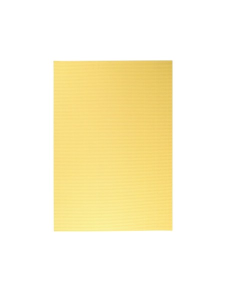 Carton ondulado liderpapel 50 x 70cm 320g/m2...