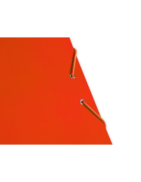 Carpeta liderpapel gomas folio 3 solapas carton...