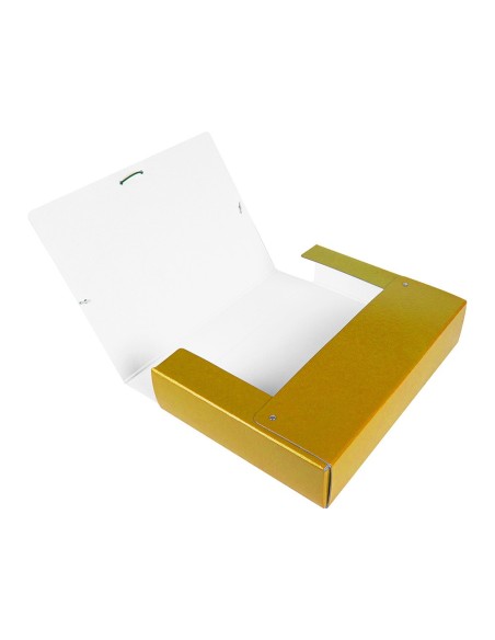 Carpeta proyectos liderpapel folio lomo 70mm...