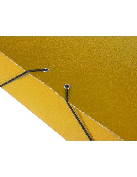 Carpeta proyectos liderpapel folio lomo 70mm...
