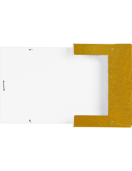 Carpeta proyectos liderpapel folio lomo 70mm...
