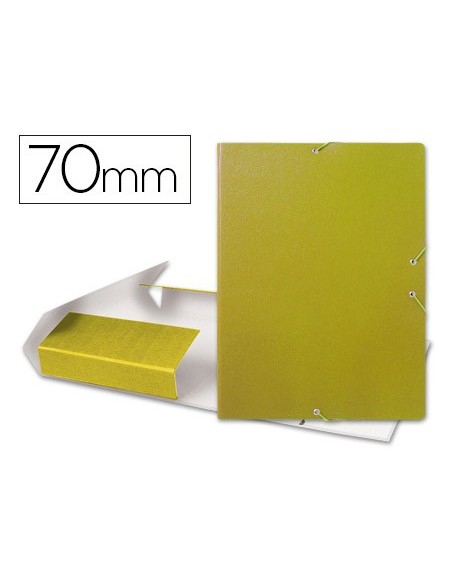 Carpeta proyectos liderpapel folio lomo 70mm...