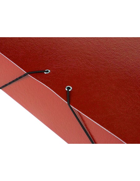 Carpeta proyectos liderpapel folio lomo 70mm...