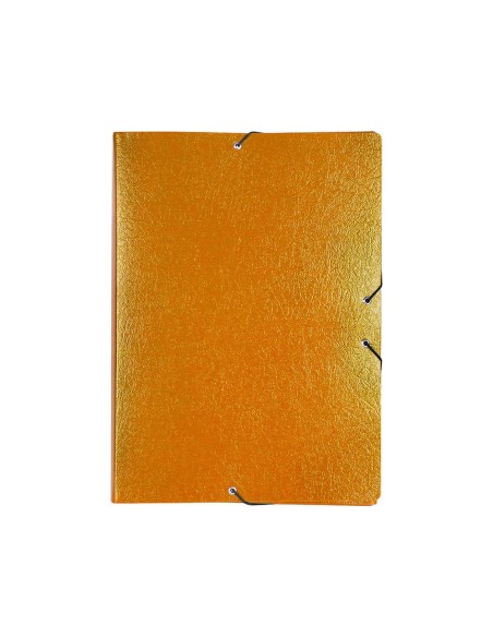 Carpeta proyectos liderpapel folio lomo 70mm...