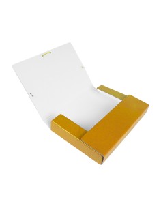 Carpeta proyectos...