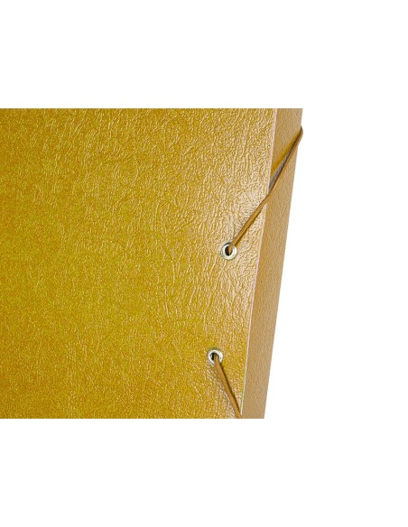 Carpeta proyectos liderpapel folio lomo 30mm...