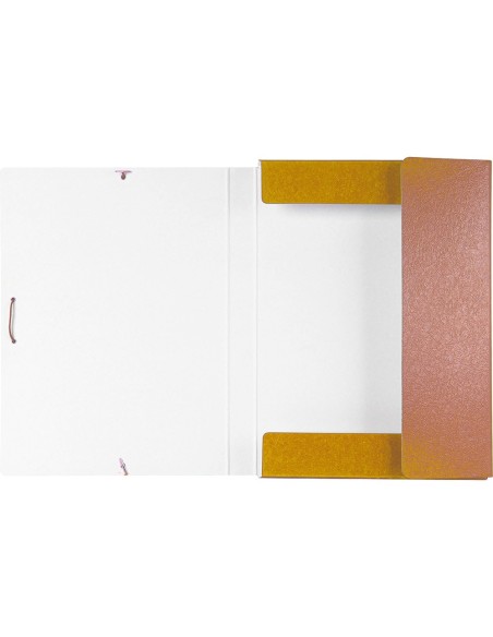 Carpeta proyectos liderpapel folio lomo 30mm...