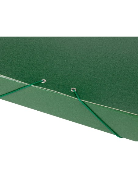 Carpeta proyectos liderpapel folio lomo 50mm...