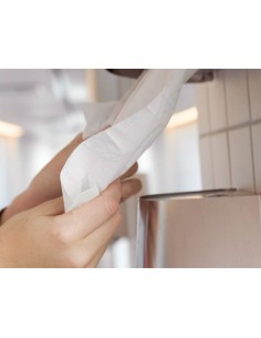 Papel secamanos 2 capas 199... 2