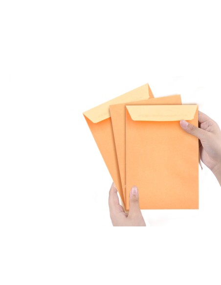 Sobre liderpapel bolsa n.0 cel caña salarios 100x145mm tira silicona caja de 1000 unidades