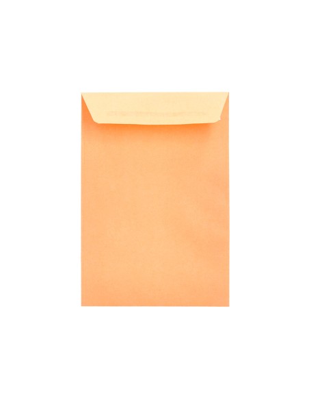 Sobre liderpapel bolsa n.0 cel caña salarios 100x145mm tira silicona caja de 1000 unidades