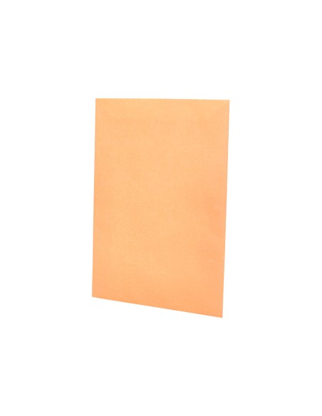 Sobre liderpapel bolsa n.0 cel caña salarios 100x145mm tira silicona caja de 1000 unidades