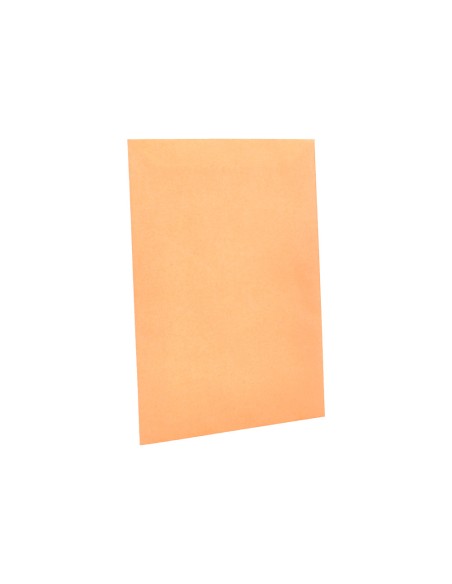 Sobre liderpapel bolsa n.0 cel caña salarios 100x145mm tira silicona caja de 1000 unidades