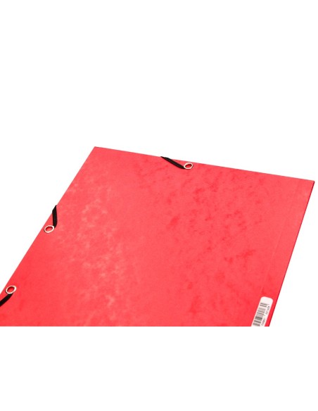 Carpeta q-connect gomas kf02174 carton...