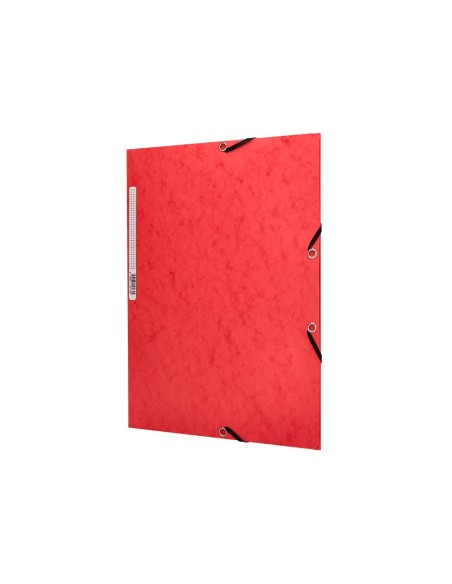 Carpeta q-connect gomas kf02174 carton...