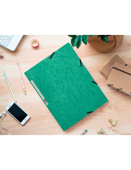 Carpeta q-connect gomas kf02168 carton...