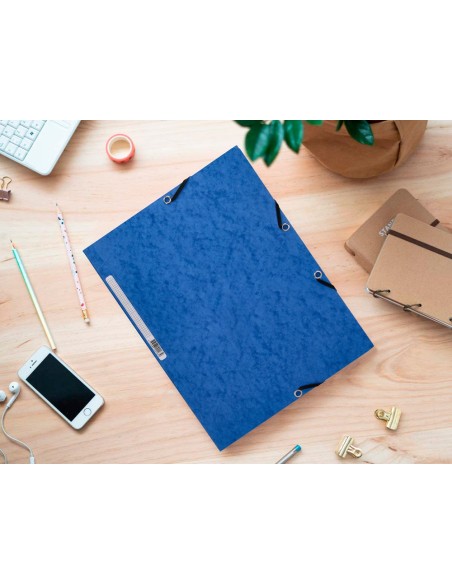 Carpeta q-connect gomas kf02167 carton...