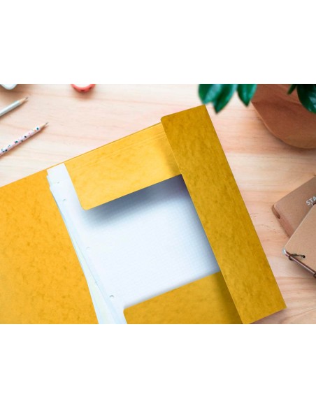 Carpeta q-connect gomas kf02166 carton...