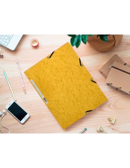 Carpeta q-connect gomas kf02166 carton...