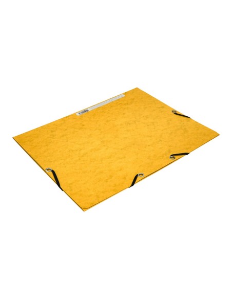 Carpeta q-connect gomas kf02166 carton...