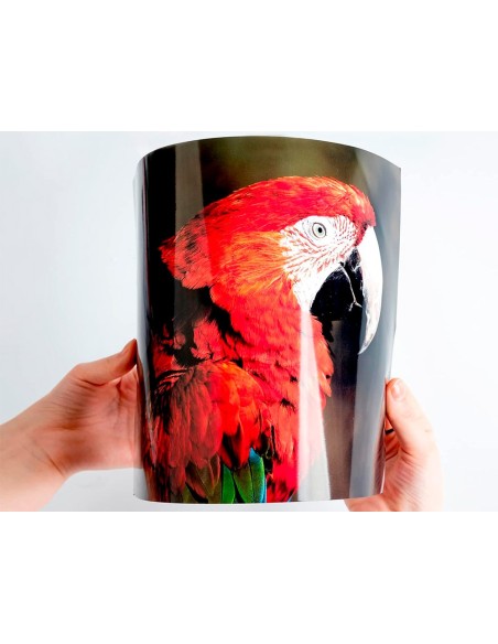 Papel q-connect foto glossy kf02163 din a4 alta...