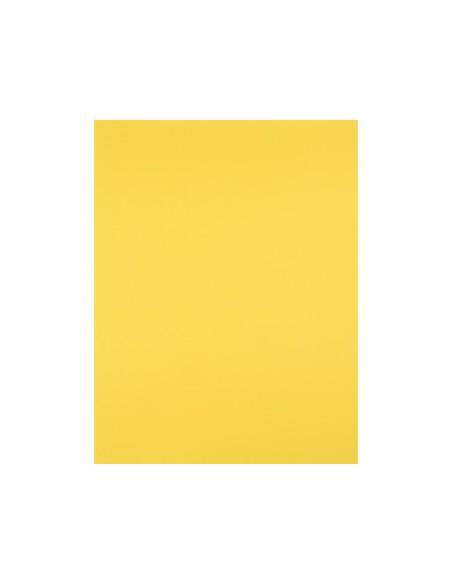 Cartulina liderpapel 50x65 cm 180g/m2 amarillo...