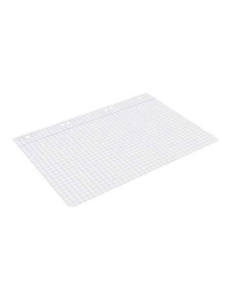 Recambio liderpapel cuarto 100 hojas 60g/m2 cuadro 8mm con margen 6 taladros