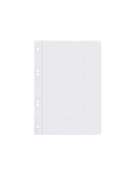Recambio liderpapel cuarto 100 hojas 60g/m2 cuadro 6mm con margen 6 taladros