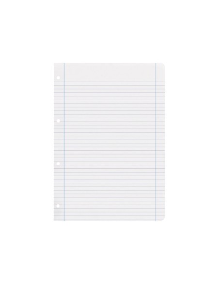Recambio liderpapel a4 100 hojas 100g/m2...