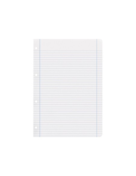 Recambio liderpapel a4 100 hojas 100g/m2 horizontal con doble margen 4 taladros