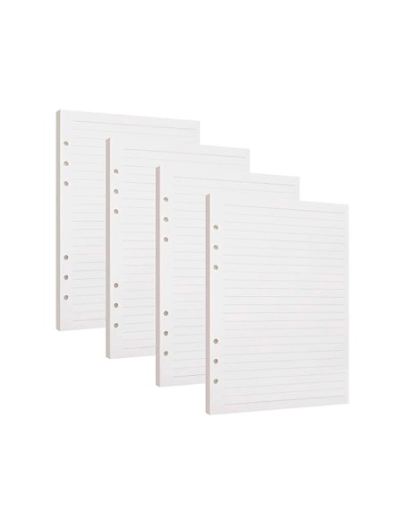 Recambio liderpapel a4 100 hojas 100g/m2 horizontal con doble margen 4 taladros