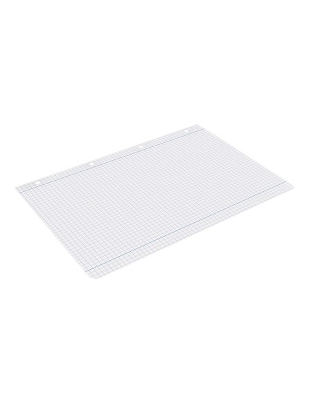 Recambio liderpapel a4 100 hojas 100g/m2 cuadro...