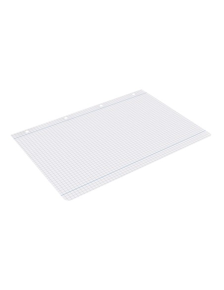 Recambio liderpapel a4 100 hojas 100g/m2 cuadro 5mm con margen 4 taladros