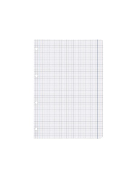 Recambio liderpapel a4 100 hojas 100g/m2 cuadro 5mm con margen 4 taladros
