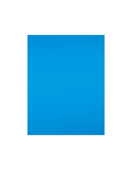 Cartulina liderpapel 50x65 cm 180g/m2 azul...