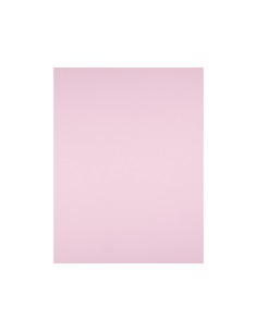 Cartulina liderpapel 50x65... 2