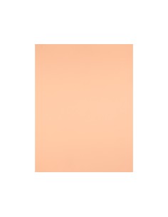 Cartulina liderpapel 50x65... 2