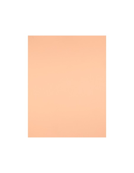 Cartulina liderpapel 50x65 cm 180g/m2 sepia
