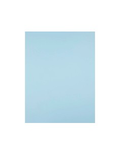 Cartulina liderpapel 50x65... 2