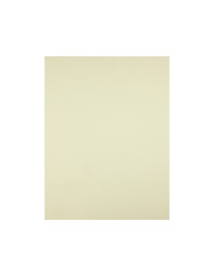 Cartulina liderpapel 50x65... 2