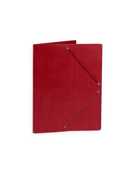 Carpeta planos liderpapel a2 carton gofrado n...