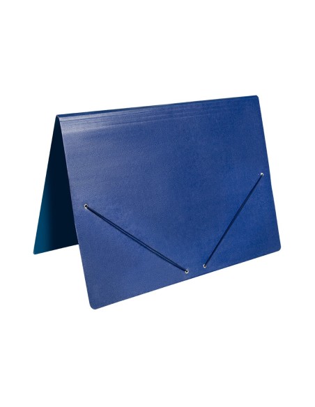 Carpeta planos liderpapel a3 carton gofrado n...